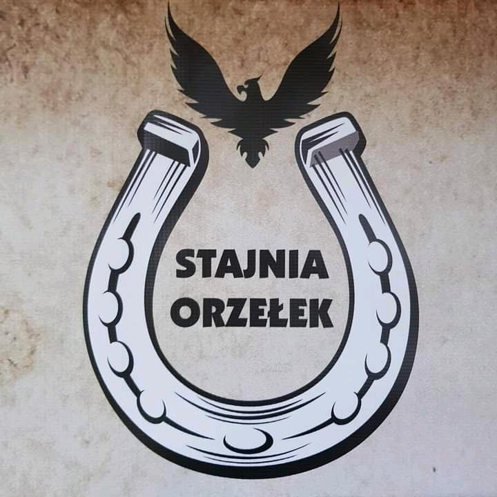 Logo Stajni Orzełek